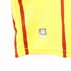 Nike Cameroon National Team Soccer Jersey - Medium -Icy Sales Shop 12008 20IMG 0110 4b356615 6cb3 4ac1 80cc 2ff4db18233a