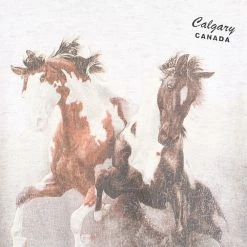 Icy Vintage Vintage 1992 Calgary Horses T-Shirt - Medium -Icy Sales Shop 14132 20IMG 0119