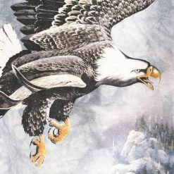 Icy Vintage Vintage The Mountain Eagle AOP Art T-Shirt - XL -Icy Sales Shop 14357 20IMG 0094