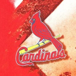 Vintage MLB 2000 St. Louis Cardinals Graphic T-Shirt - 2XL -Icy Sales Shop 14987 20IMG 0086