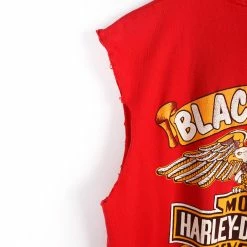 Vintage Harley Davidson Sturgis Rally, Rapid City, S.D T-Shirt - Large -Icy Sales Shop 8994 20IMG 0007